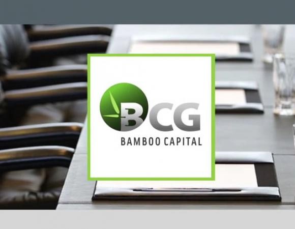 BCG dự kiến phát hành hơn 67 triệu cổ phiếu