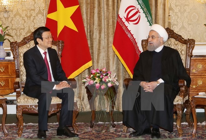 Chủ tịch nước Trương Tấn Sang hội đàm với Tổng thống Iran Hassan Rouhani. (Ảnh: Vietnam+)