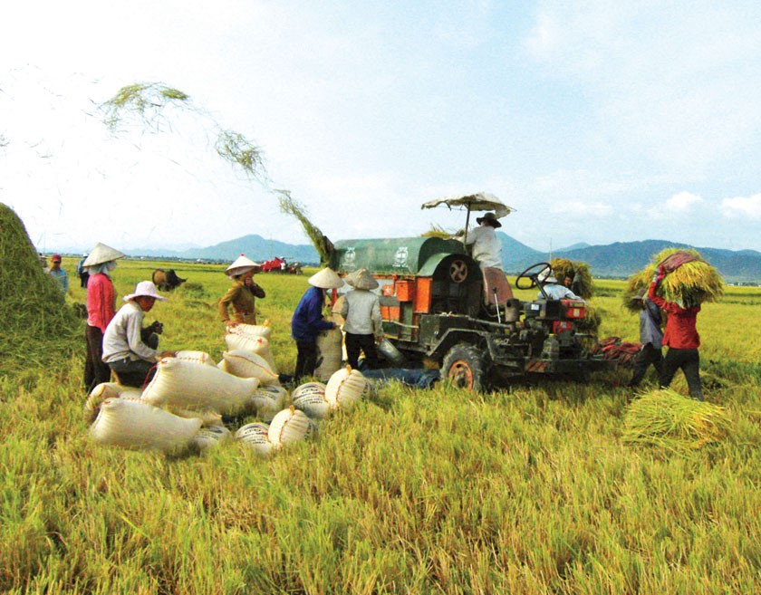 Sản xuất nông nghiệp của Việt Nam còn nhỏ lẻ, cơ sở hạ tầng và dịch vụ phụ trợ còn thiếu và yếu sẽ khó thu hút đầu tư FDI. (Ảnh: Internet)