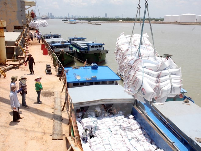 Bốc xếp gạo xuất khẩu tại Cảng Nhà Bè. (Ảnh: Đình Huệ/TTXVN)