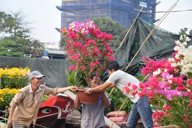 Chợ hoa Tết Sài Gòn thưa thớt, miền Tây đông đúc