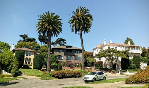 Phố Presidio Terrace được xếp vào khu dân cư danh giá bậc nhất ở thành phố San Francisco, bang California, Mỹ. Ảnh: NextShark.