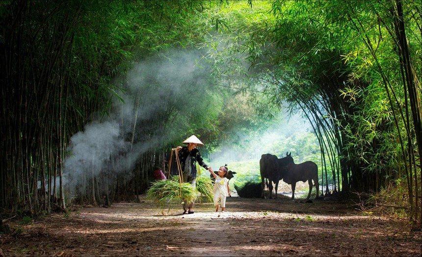 Những bức ảnh ấn tượng vòng chung khảo 'Dấu ấn Việt Nam'