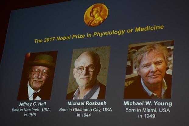 Ba nhà khoa học Mỹ giành Nobel Y học 2017 - Ảnh: AFP