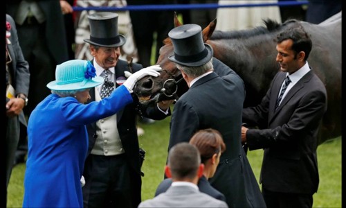 Nữ hoàng Anh vỗ về chú ngựa đua Dartmouth. Ảnh: YouTube.