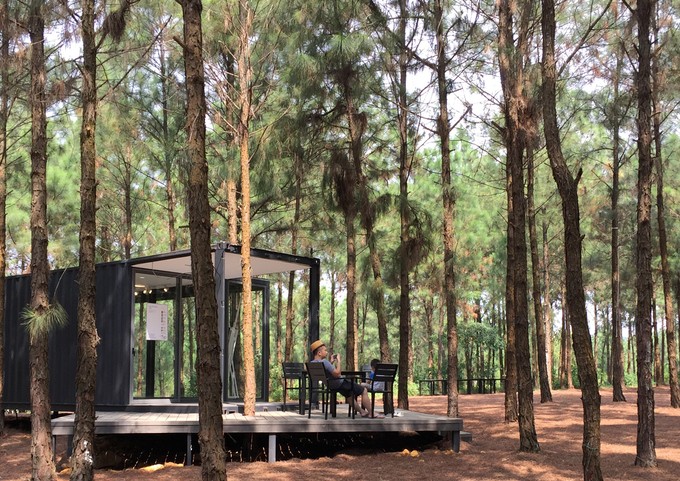 Khu rừng thông bên hồ - điểm chơi cuối tuần gần Hà Nội