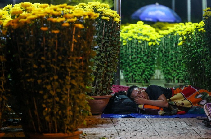 Dựng lều, mắc màn trông hoa Tết xuyên đêm trên vỉa hè Sài Gòn