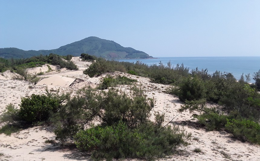 Đất ven biển thị trấn Lăng Cô, huyện Phú Lộc, Thừa Thiên Huế chỉ có gió và cát đang được giới đầu tư "săn tìm"