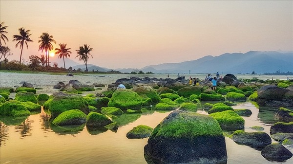 Khu vực bãi biển Nam Ô, quận Liên Chiểu, TP Đà Nẵng.