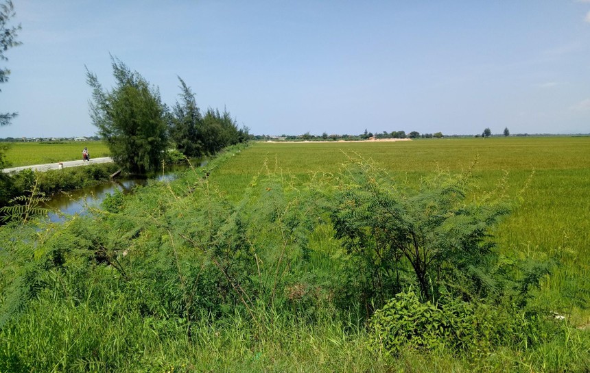 Quyết định mới của tỉnh Thừa Thiên Huế quy định diện tích tách thửa tối thiểu với nhiều loại đất cụ thể.