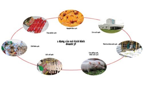 Chi phí đầu tư của Masan để phát triển nền tảng 3F (Feed – Farm – Food) hàng đầu Việt Nam tương đương với mức 12 lần lợi nhuận