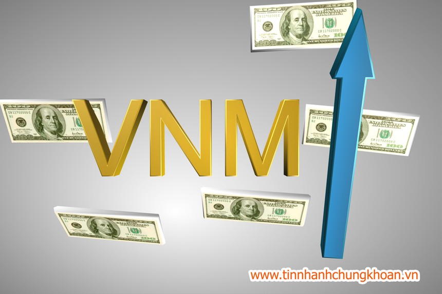 Năm 2013, VNM lãi ròng hơn 6.500 tỷ đồng