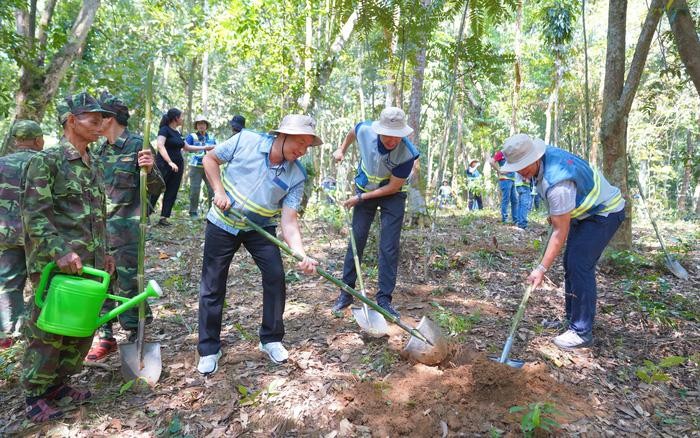 Coteccons khởi động chiến dịch trồng cây “Green Up” trong dự án bảo tồn rừng tại Phong Nha - Kẻ Bàng