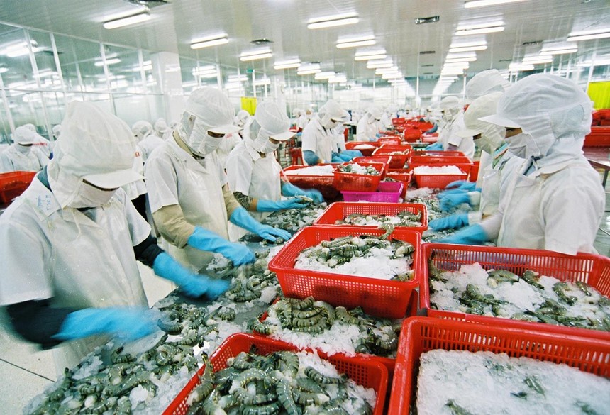 Thuỷ sản Việt Nam là một trong những ngành đạt kim ngạch xuất khẩu tỷ đô