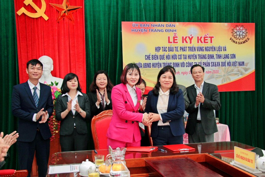 Vinasamex và huyện Tràng Định (Lạng Sơn) đã ký kết hợp tác đầu tư, phát triển vùng nguyên liệu và chế biến quế hồi hữu cơ. 