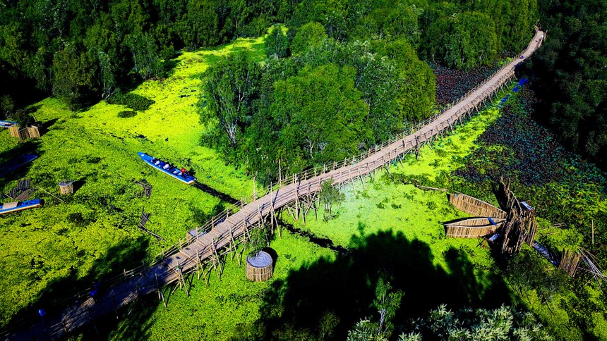 Toàn cảnh cây cầu tre dài nhất Việt Nam