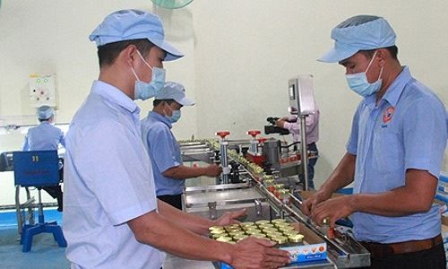 Hoạt động sản xuất kinh doanh chính của công ty là chế biến các sản phẩm nước yến sào Khánh Hòa đóng lọ mang thương hiệu Sanest