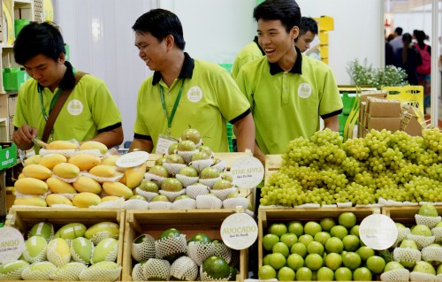 Trái cây Việt Nam tìm cơ hội mở rộng kênh xuất khẩu
