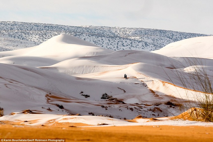 Hiện tượng kỳ lạ: Tuyết phủ trắng sa mạc Sahara