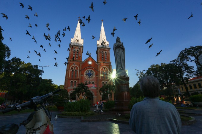 Hơn 700 con bồ câu bay lượn trước nhà thờ Đức Bà