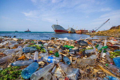 Tổng cục Biển và Hải đảo Việt Nam được giao làm đầu mối giúp Bộ trưởng Bộ Tài nguyên và Môi trường thống nhất quản lý về vấn đề rác thải nhựa đại dương.