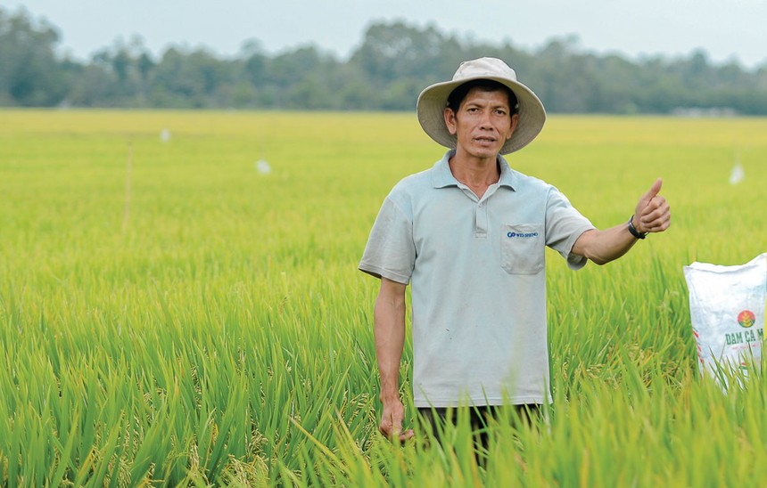 Nguồn cung và giá khí nào để giúp Đạm Cà Mau tiếp tục đóng góp cho nông nghiệp Việt?