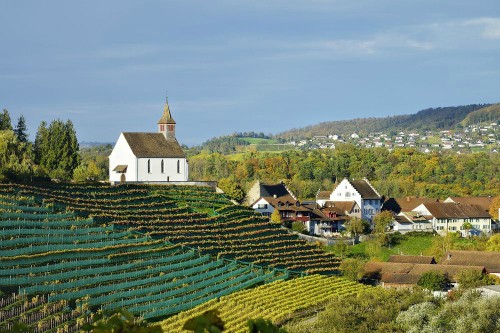 Một góc làng Rheinau tại Thụy Sỹ. Ảnh: AFP