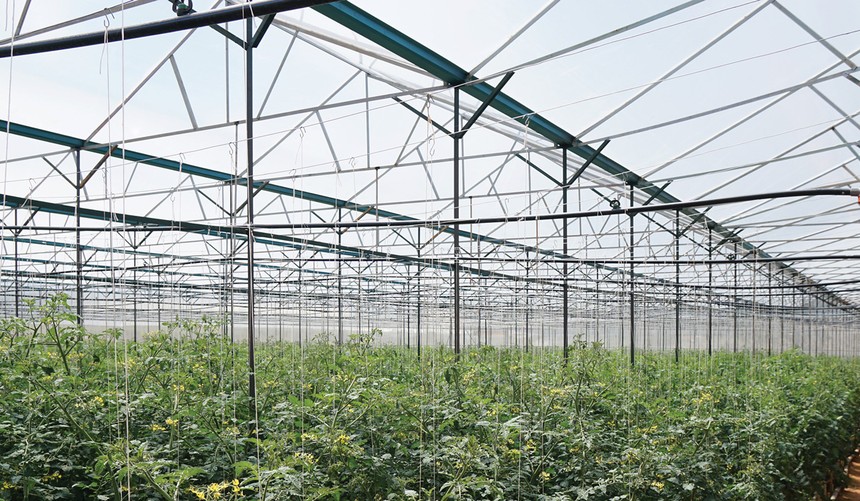 Nông nghiệp công nghệ cao Trung An dự kiến lên sàn HNX trong tháng 1/2019