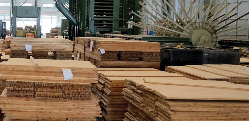 Nhà máy chế biến gỗ của SJF.