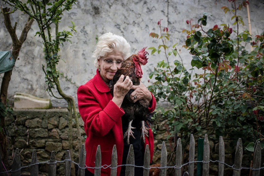 Bà Corine Fesseau và gà trống Maurice của mình. Maurice đã trở thành con gà nổi tiếng nhất nước Pháp những ngày qua. Ảnh: New York Times.