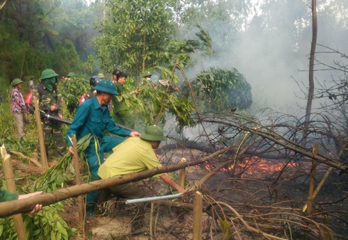 Nhà chức trách dập lửa tại đám cháy rừng ở huyện Lộc Hà. Ảnh: Đ.H.