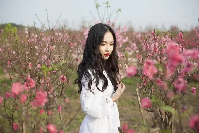 Cô gái Hà Nội chụp hình ở vườn đào Nhật Tân dịp Tết 2019. Ảnh: Tài Hoàng.