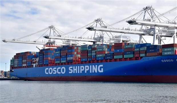 Tàu container của Hãng vận tải biển COSCO của Trung Quốc tại cảng Long Beach, Los Angeles (Mỹ). (Nguồn: AFP/TTXVN)