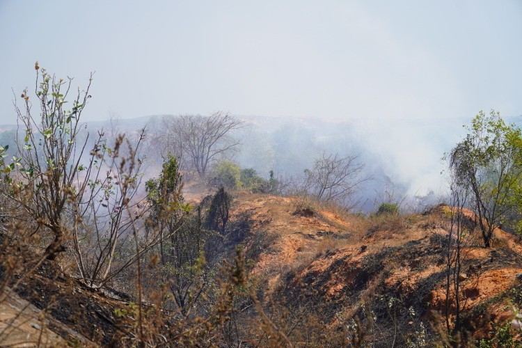 Khu rừng cháy tỏa khói bao phủ mù mịt ở Mũi Né. 