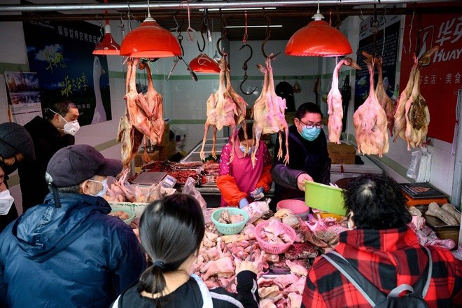 Trung Quốc là nhà sản xuất gia cầm lớn thứ hai thế giới và đã tăng cường nhập khẩu để bù đắp sự thiếu hụt thịt rất lớn sau khi dịch tả lợn châu Phi tàn phá đàn lợn nước này. Ảnh: AFP.