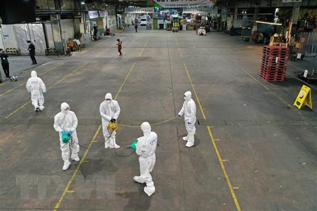 Phun thuốc khử trùng tại một chợ rau củ ở thành phố Daegu, Hàn Quốc nhằm ngăn chặn sự lây lan của dịch COVID-19, ngày 20/2/2020. (Ảnh: AFP/TTXVN).