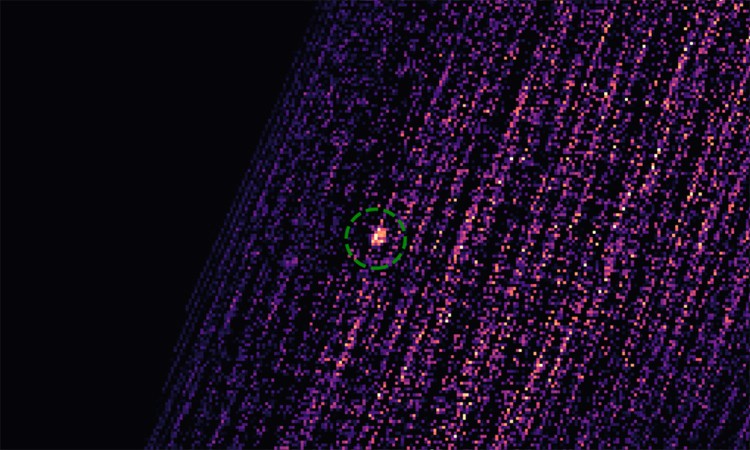 Đợt bùng phát tia X từ hố đen MAXI J0637-430 do thiết bị REXIS ghi lại. Ảnh: NASA.