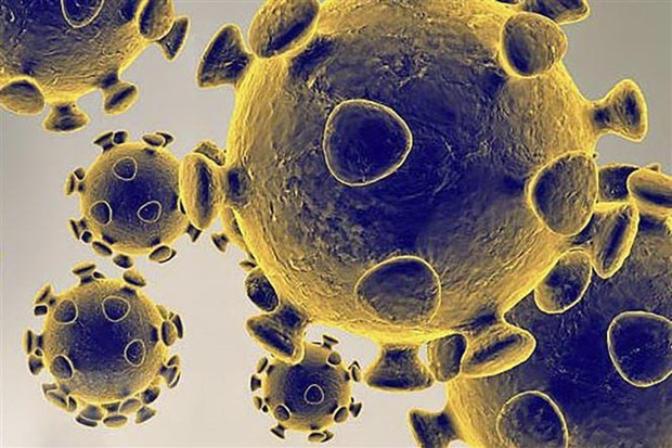 Hình ảnh do Cơ quan dược phẩm và thực phẩm Mỹ cung cấp về virus SARS-CoV-2 gây dịch viêm đường hô hấp cấp COVID-19. (Ảnh: AFP/TTXVN).