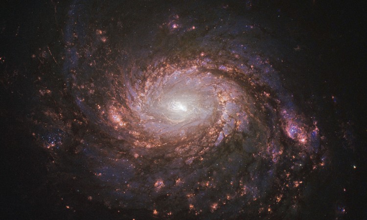 Thiên hà M77 trong ảnh chụp của kính viễn vọng không gian Hubble. Ảnh: NASA.