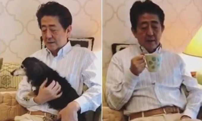 Thủ tướng Nhật Bản Shinzo Abe chơi với cún cưng và uống trà trong video kêu gọi người dân ở nhà. Ảnh chụp màn hình.