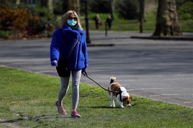 Một phụ nữ dạo bộ cùng với chú chó cưng tại công viên ở London, Anh. (Ảnh: AFP/TTXVN).