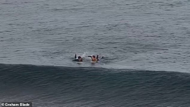 Hình ảnh con cá mập vẫn lượn lờ xung quanh khi 2 người đang chèo vào bờ.