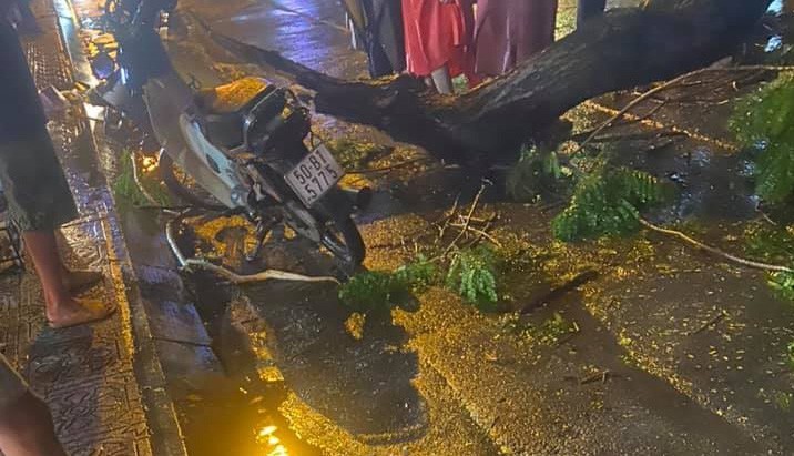 Một cây xanh bất ngờ bị đổ trong cơn mưa lớn, khiến 1 người đi đường tử vong tại chỗ.