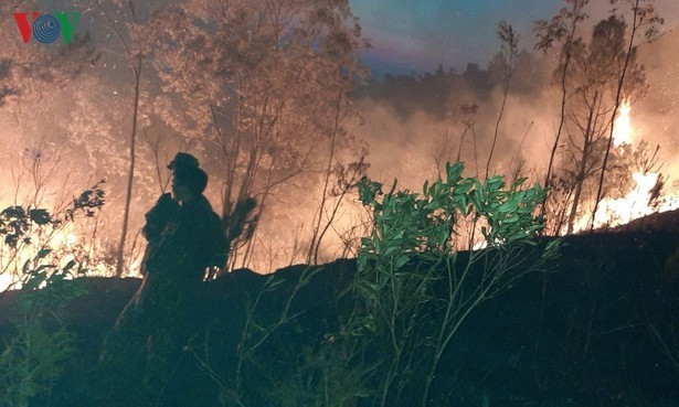 Cháy rừng tại Hà Tĩnh.