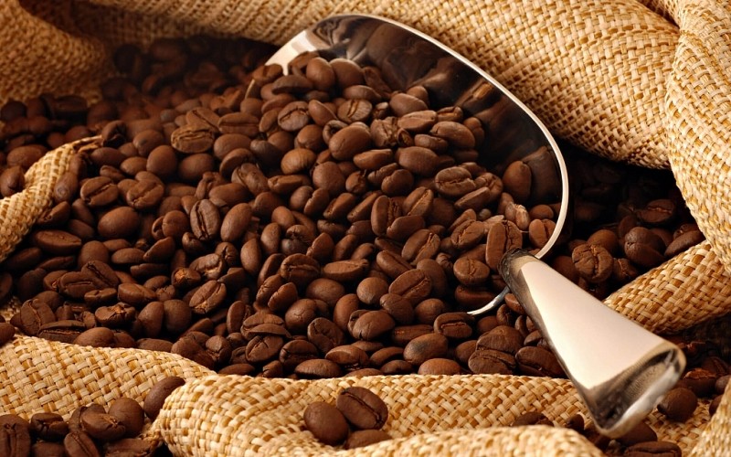 Xuất khẩu cà phê tăng mạnh tại các thị trường: Ba Lan (tăng 53,7%, đạt 23,5 triệu USD), Bỉ (tăng 20,1%, đạt 74,8 triệu USD). 