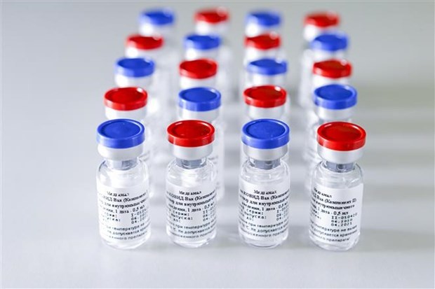Vắcxin ngừa COVID-19 do Viện nghiên cứu Dịch tễ học và Vi sinh học Quốc gia Gamaley của Nga phát triển. (Ảnh: AFP/TTXVN).