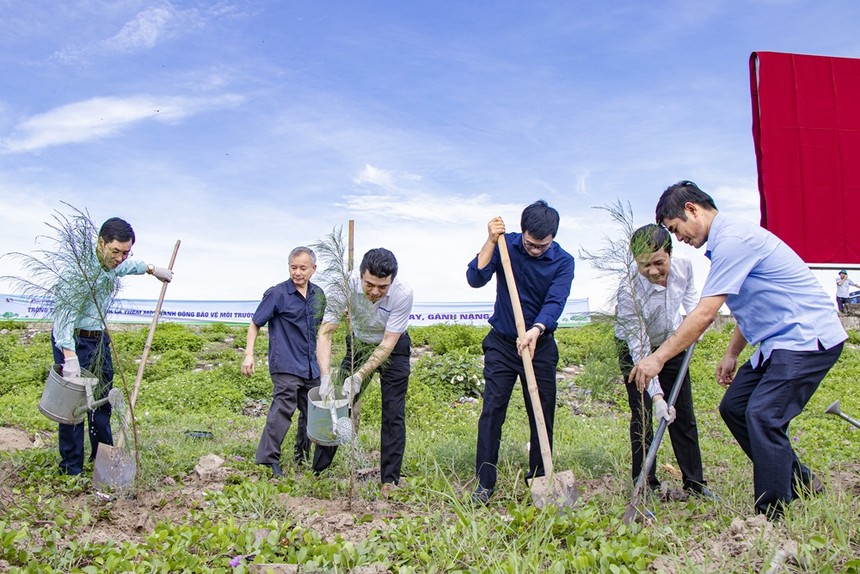 Cán bộ, nhân viên Panasonic phối hợp cùng chính quyền và người dân tỉnh Nam Định trồng cây phi lao.