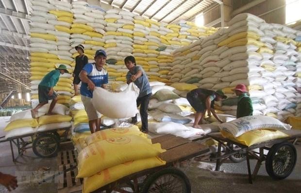 Chuẩn bị nguồn hàng gạo xuất khẩu tại Công ty Lương thực sông Hậu thuộc Tổng công ty Lương thực miền Nam. (Ảnh: TTXVN).