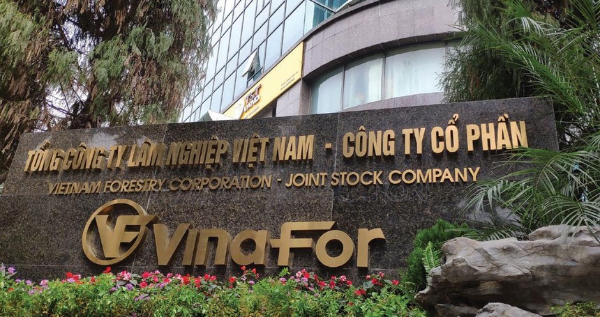 Vinafor sở hữu nhiều lô đất vàng tại Hà Nội. Ảnh: Dũng Minh.