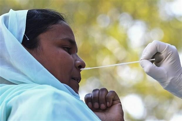 Nhân viên y tế lấy mẫu xét nghiệm COVID-19 tại Srinagar, Ấn Độ. (Ảnh: THX/TTXVN).